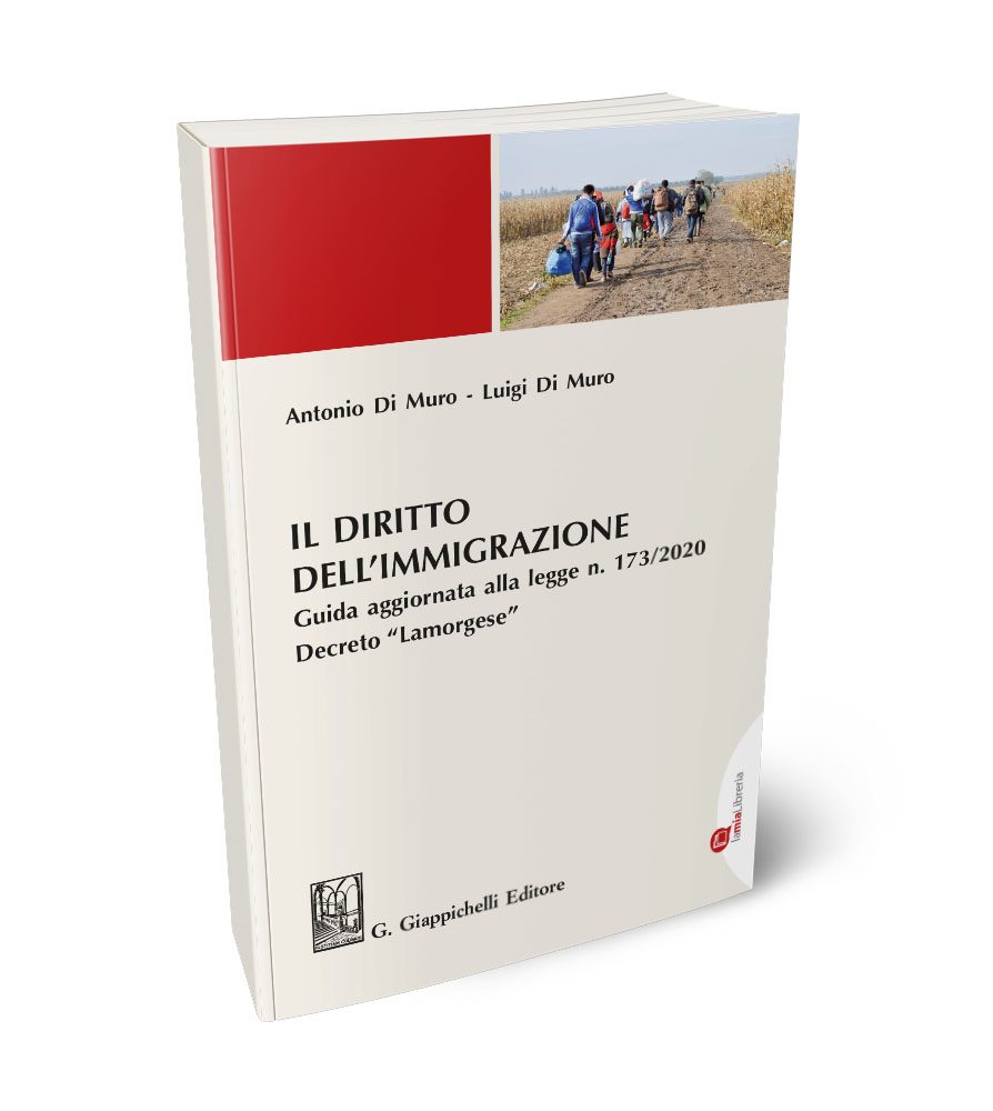 Il diritto dell'immigrazione - Guida aggiornata alla legge n. 173/2020 Decreto Lamorgese