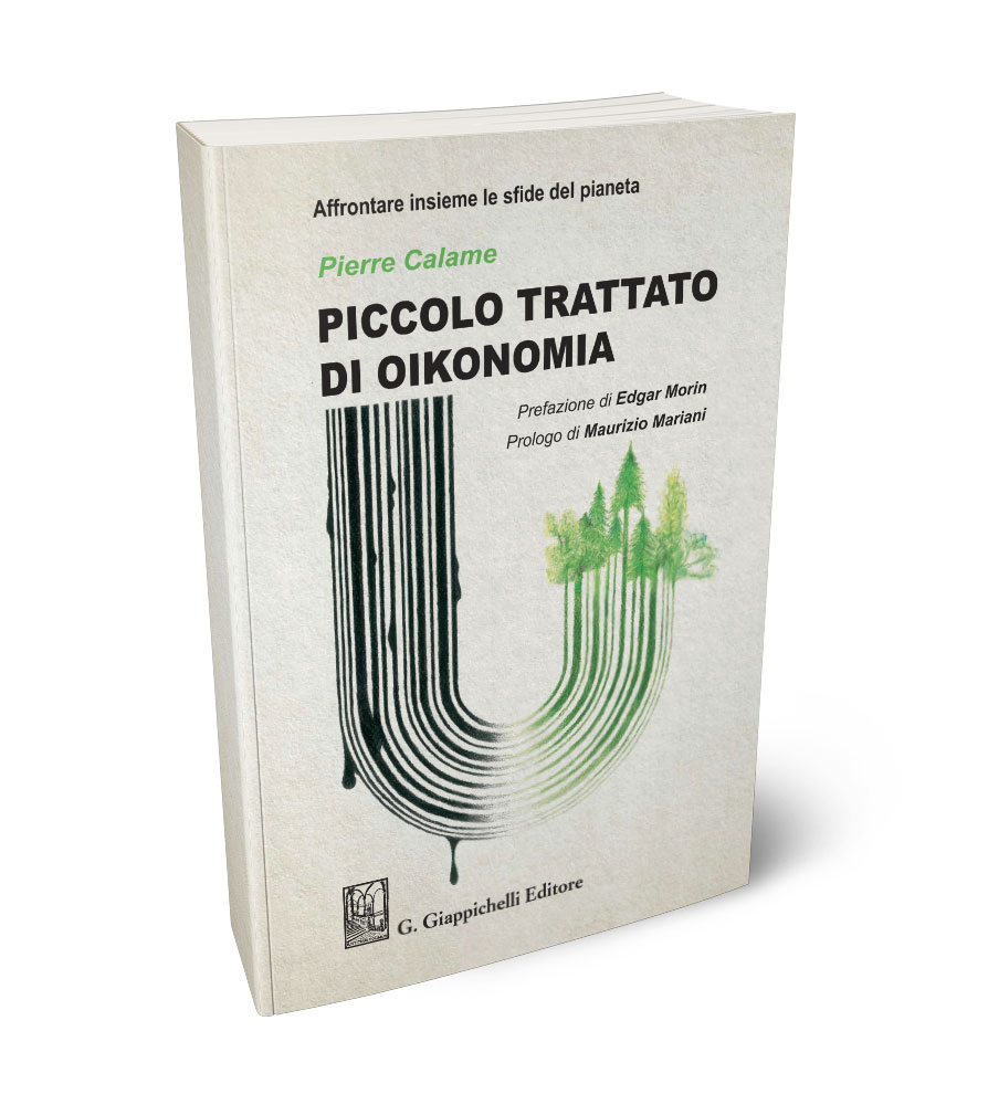 Piccolo trattato di oikonomia