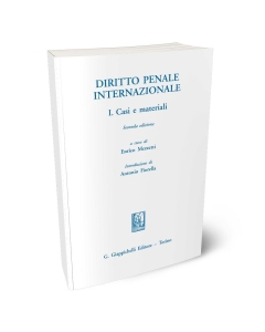 Diritto penale internazionale