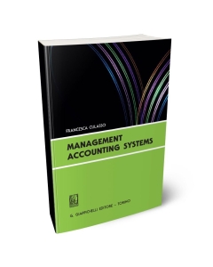 Management accounting systems