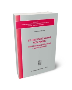 Le organizzazioni non profit