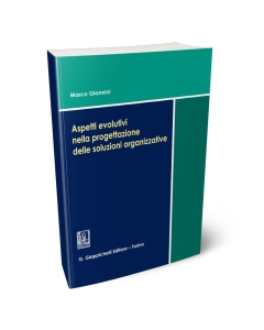 Aspetti evolutivi nella progettazione delle soluzioni organizzative