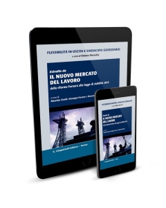Flessibilità in uscita e sindacato giudiziario - e-Book