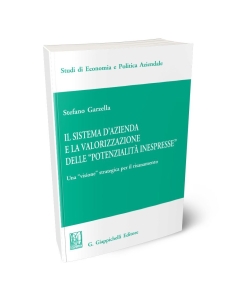 Il sistema d'azienda e la valorizzazione delle 'potenzialità inespresse'.