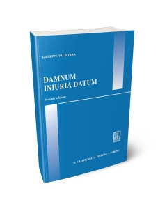 Damnum iniuria datum.