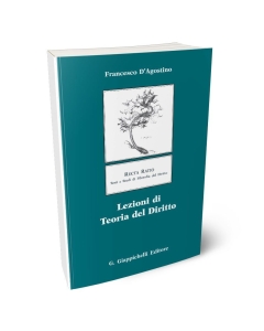 Lezioni di teoria del diritto