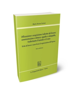 Utilizzazione e acquisizione indiretta del lavoro: somministrazione e distacco, appalto e subappalto, trasferimento d'azienda e di ramo