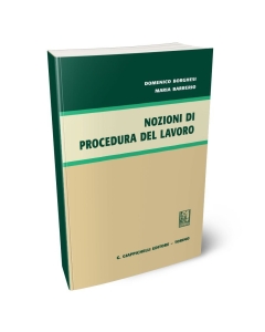 Nozioni di procedura del lavoro
