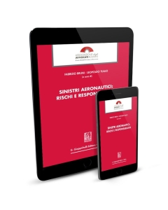 Sinistri aeronautici: rischi e responsabilità - e-Pub 
