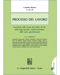 Processo del lavoro