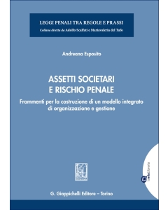 Assetti societari e rischio penale