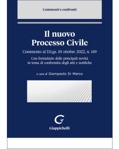 Il nuovo Processo Civile