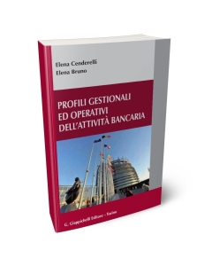 Profili gestionali ed operativi dell'attività bancaria