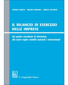 Il bilancio di esercizio nelle imprese
