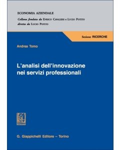 L'analisi dell'innovazione nei servizi professionali