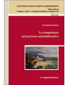 La competenza nel processo amministrativo