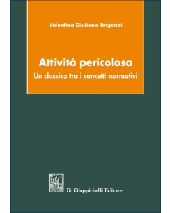 Attività pericolosa: un classico tra i concetti normativi