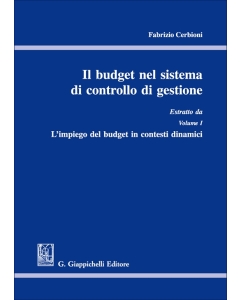 Il budget nel sistema di controllo d gestione
