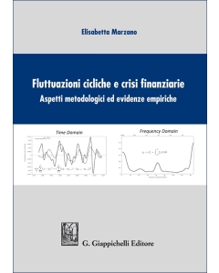 Fluttuazioni cicliche e crisi finanziare: aspetti metodologici ed evidenze empiriche