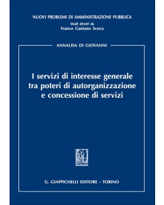 I servizi di interesse generale tra poteri di autorganizzazione e concessione di servizi