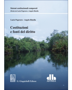Costituzioni e fonti del diritto