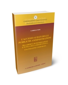 L'accesso ai dati delle Pubbliche Amministrazioni