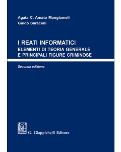 I reati informatici
