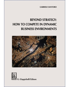 Beyond Strategy: how to compete in dynamic business environments