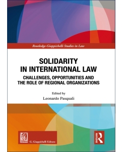 Solidarity in International Law