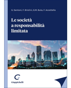 Le società a responsabilità limitata