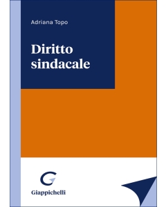 Diritto sindacale