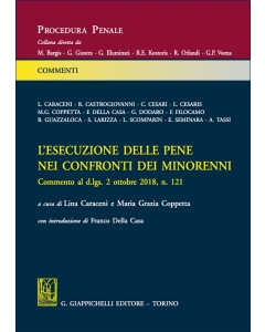 L'esecuzione delle pene nei confronti dei minorenni