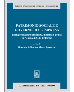 Patrimonio sociale e governo dell'impresa