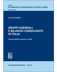 Gruppi aziendali e bilancio consolidato in Italia