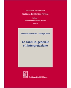 Tomo I. Le fonti in generale e l'interpretazione