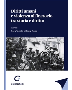 Diritti umani e violenza all'incrocio tra storia e diritto