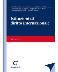 Istituzioni di diritto internazionale