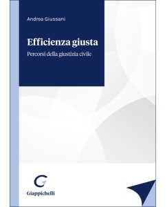 Efficienza giusta