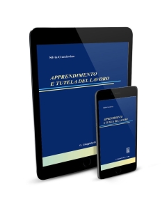 Apprendimento e tutela del lavoro - e-Book