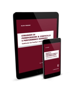 Strumenti diI pianificazione & controllo e performance aziendali - e-Book