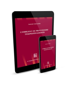 L'obbligo di provvedere tempestivamente - e-Book