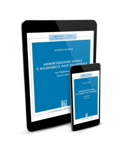 Ammortizzatori sociali e solidarietà post industriale - e-Book