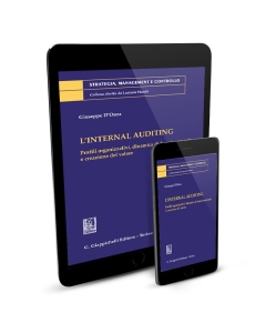 L'internal auditing - e-Book