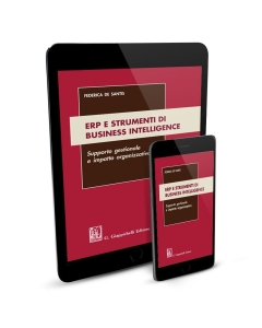 ERP e strumenti di Business Intelligence - e-Book