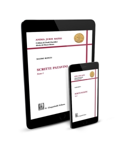 Scritti patavini - e-Book