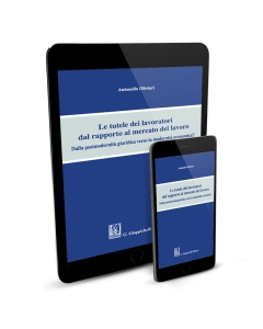 Le tutele dei lavoratori dal rapporto al mercato del lavoro - e-Book