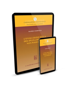 L'evoluzione della disciplina dei pegni non possessori - e-Book