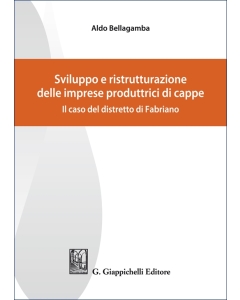 Sviluppo e ristrutturazione delle imprese produttrici di cappe - e-Book