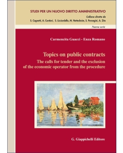 Topics on public contracts - e-Book