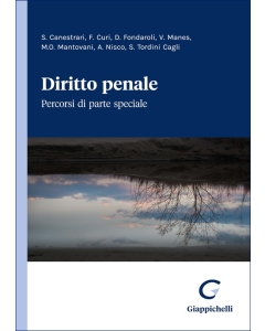 Diritto penale